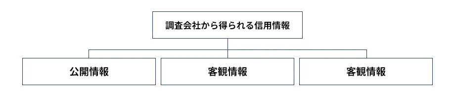 海外与信調査会社から提供される3つの信用情報